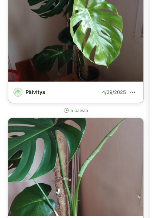 Kasvia plant timeline showing two monstera update photos with five days between them.