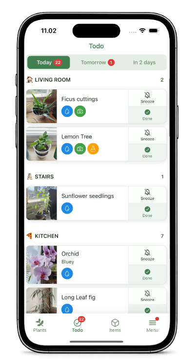 Kasvia plant list grouped by location.