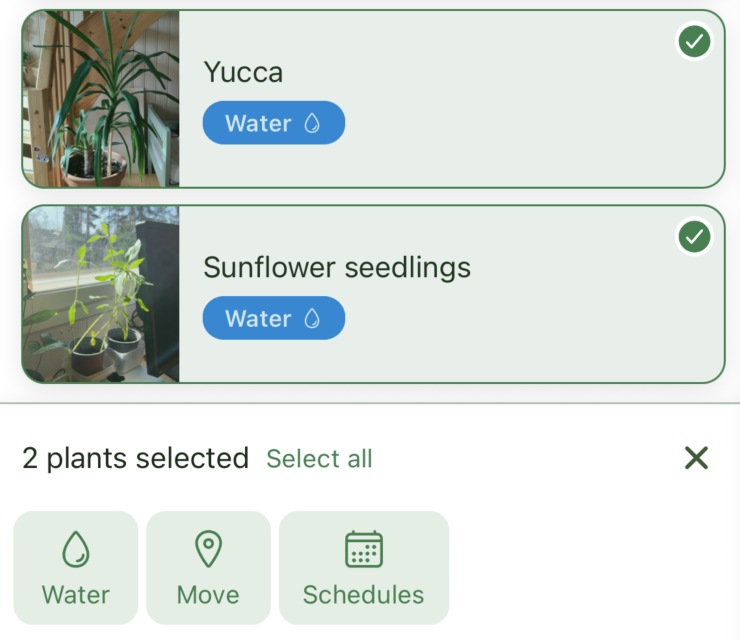 Kasvian kasvilista monivalintatilassa.